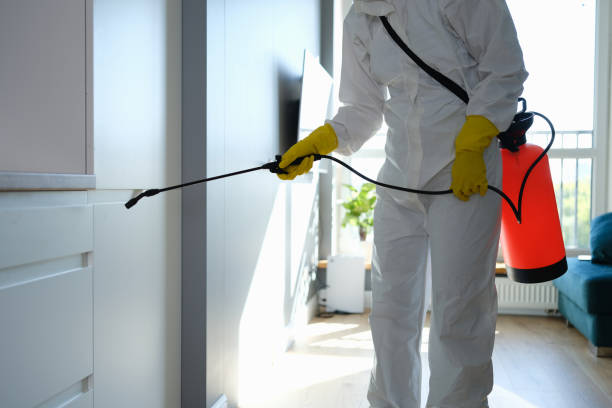 Best Industrial Mold Remediation  in Severance, CO